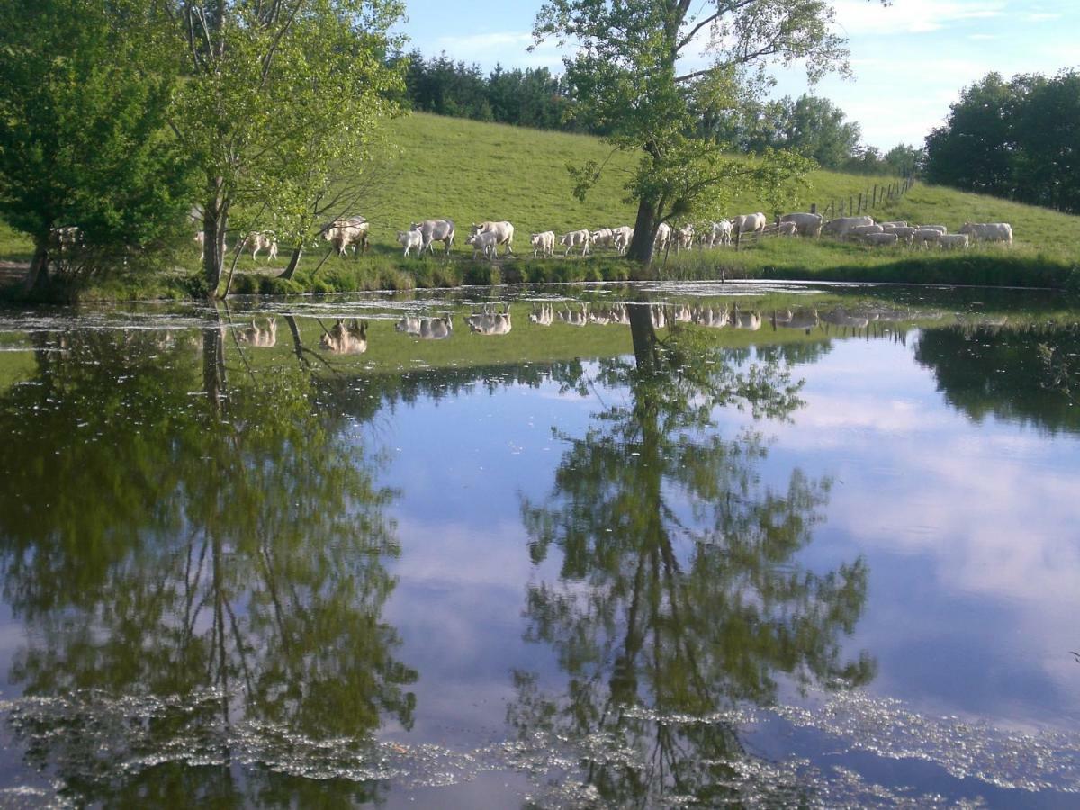 Chez Mimoune Trezioux Luaran gambar